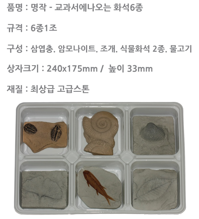교과서에나오는 교과서화석 6종 1.jpg