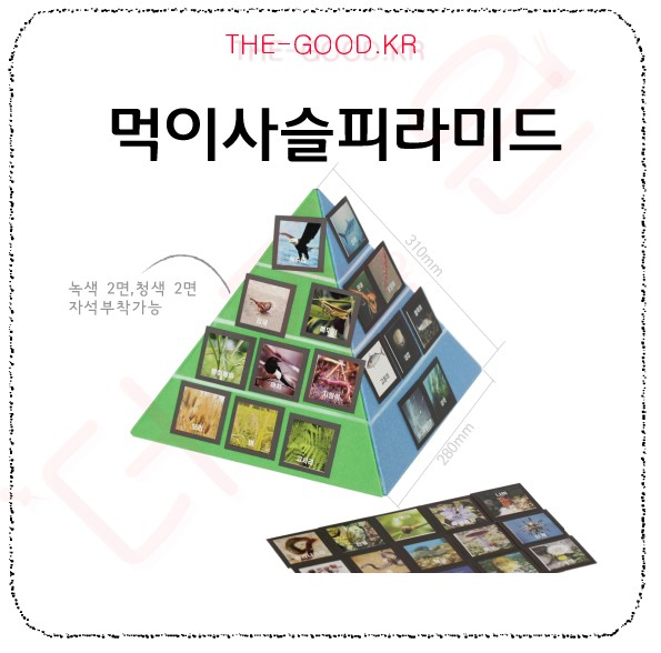먹이사슬피라미드(입체식).jpg