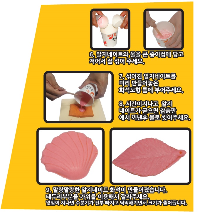 조개나뭇잎화석만들기 10인용 2.jpg