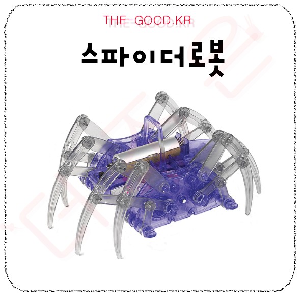 스파이더.jpg
