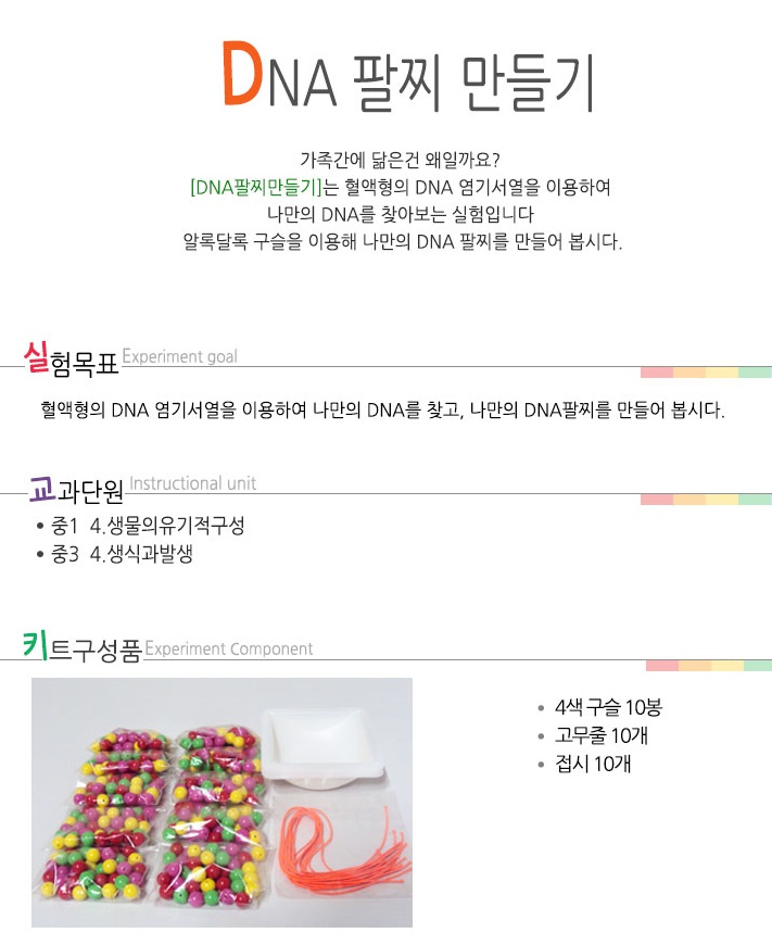 DNA팔찌만들기-불투명 - 10인용 1.jpg