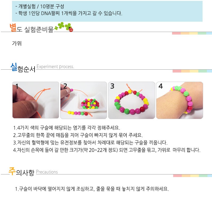 DNA팔찌만들기-불투명 - 10인용 2.jpg