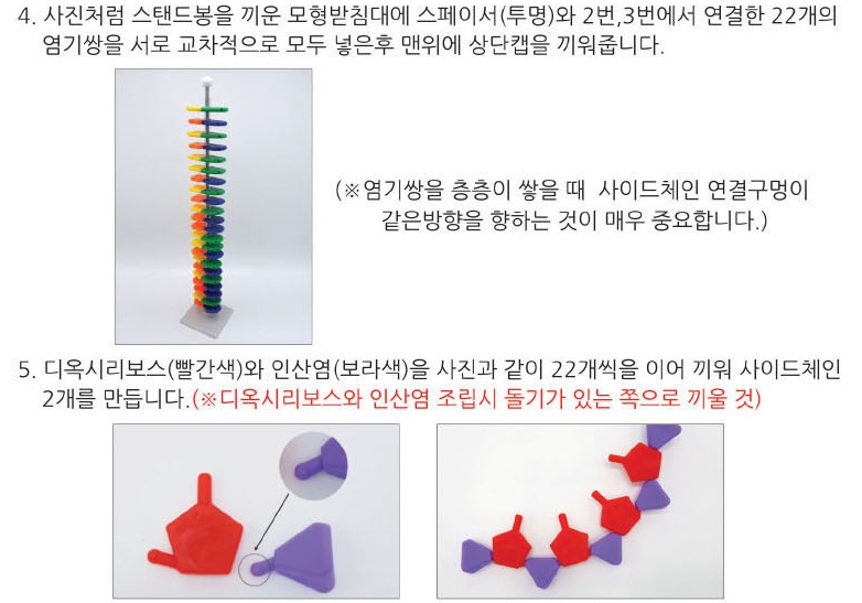 모형세트2.jpg