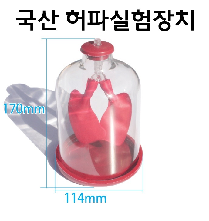 허파실험장치1-1.jpg