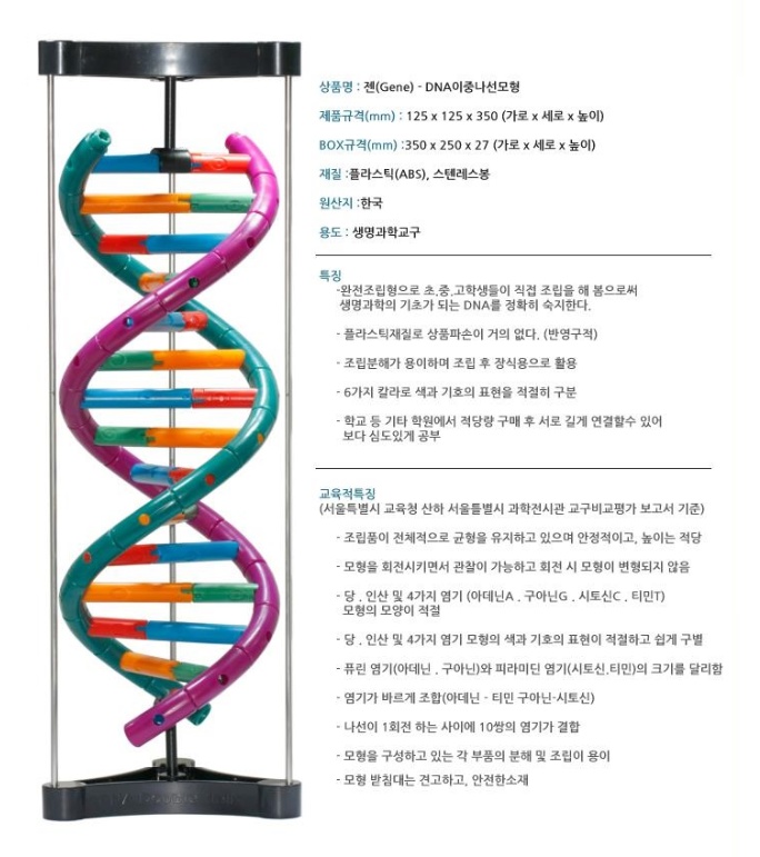 dna모형세트2.jpg