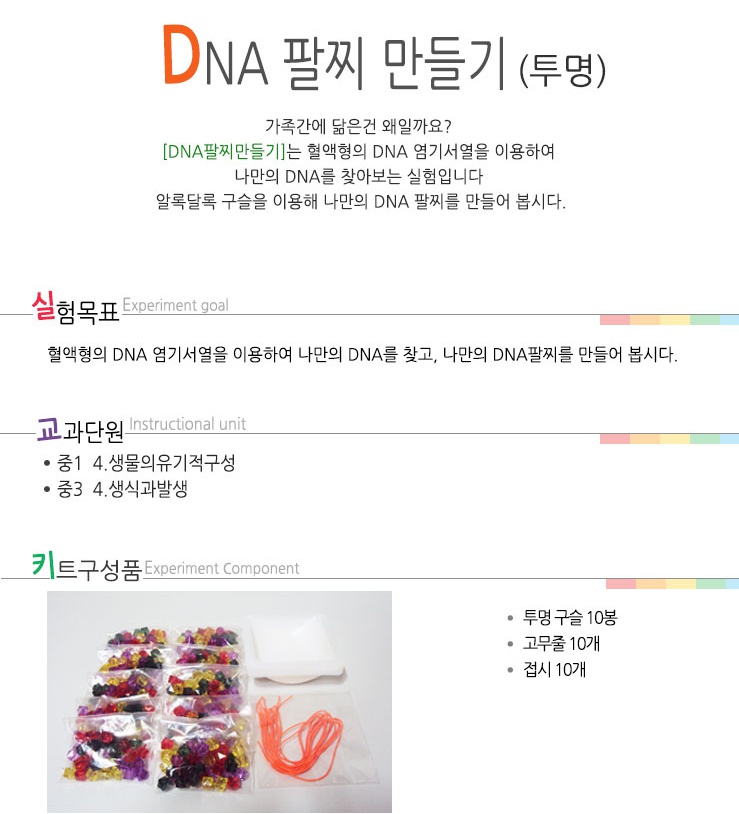 DNA 팔찌만들기-투명 - 10인용 1.jpg
