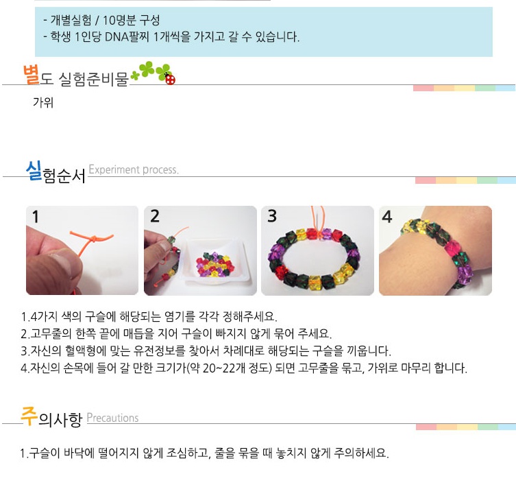 DNA 팔찌만들기-투명 - 10인용 2.jpg