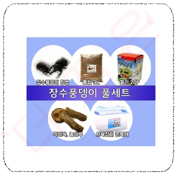 장수풍뎅이 풀세트.jpg