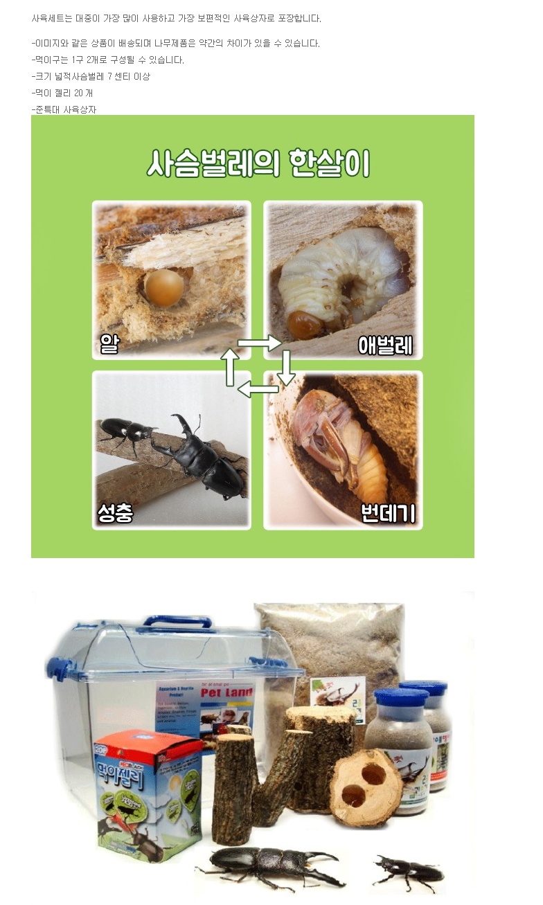 사슴벌레 풀세트 1.jpg