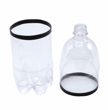 콩나물 기르기 페트병.jpg