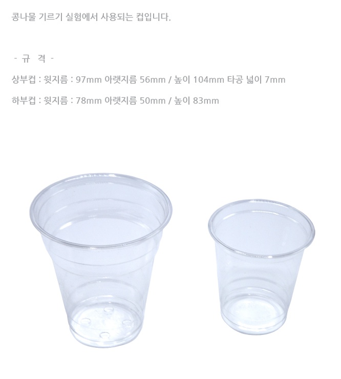 콩나물 기르기컵 1.jpg
