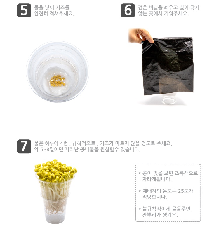 콩나물 기르기 5인용 3.jpg