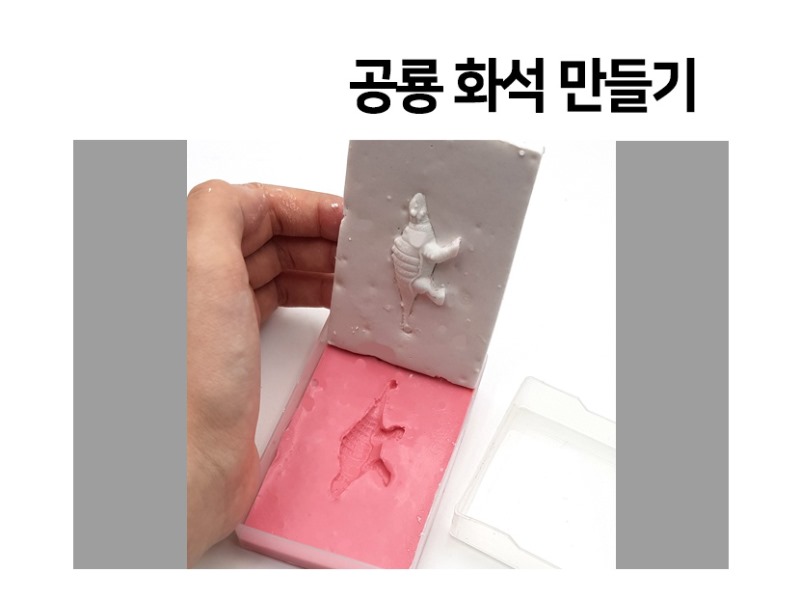 공룡화석만들기(1인용).jpg