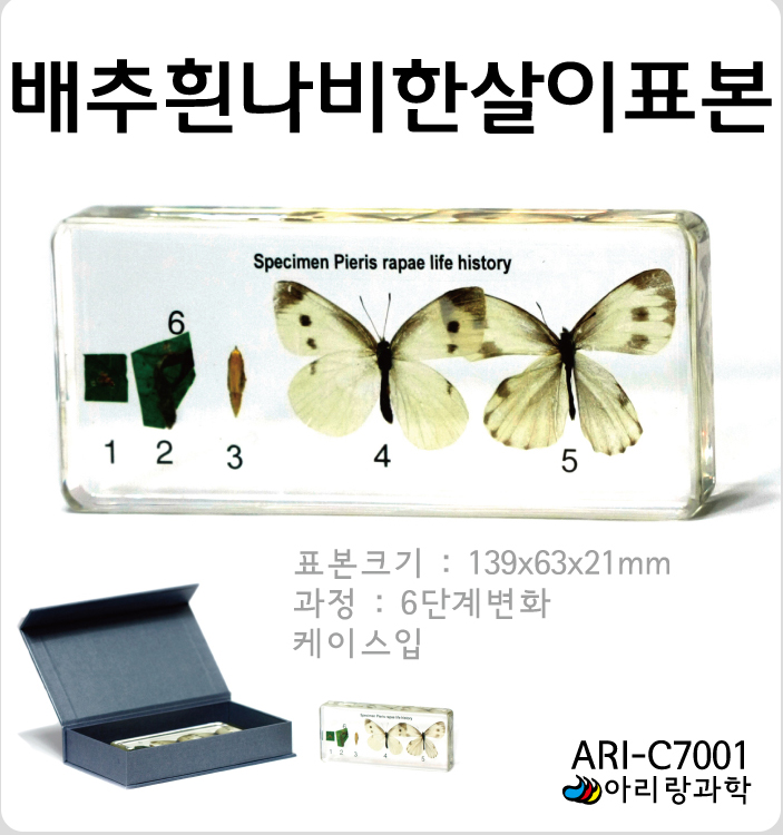 상세.jpg