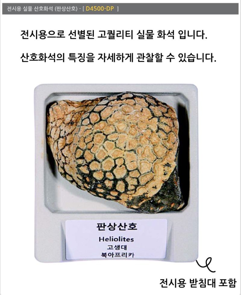 상세.jpg