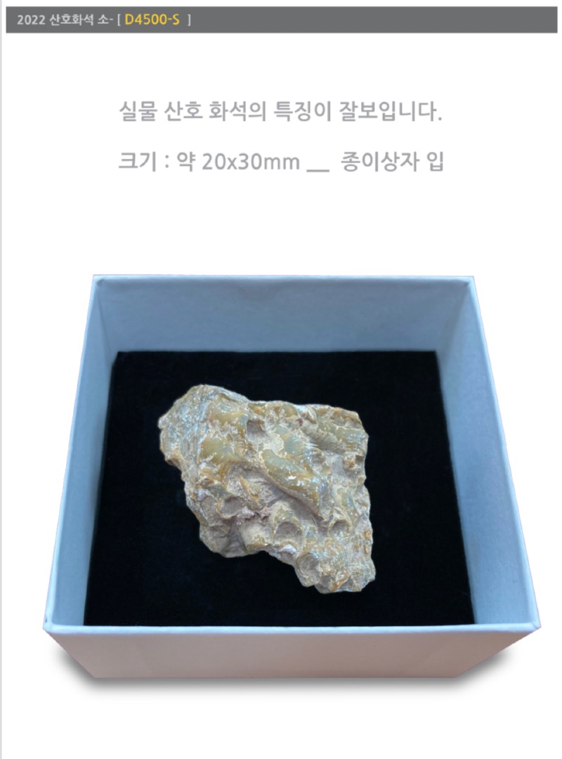 상세.jpg