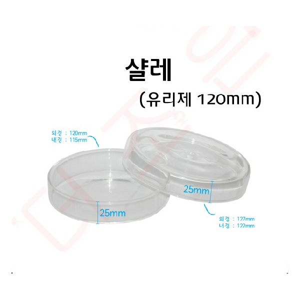 샬레 120mm (유리)