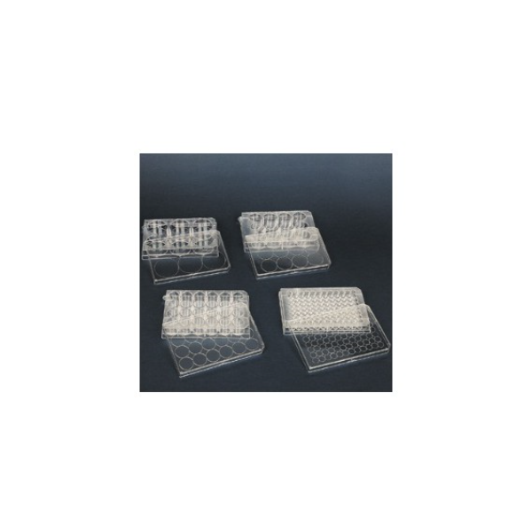 홈판 /다용도홈판 실험용/6홀/12홀/24홀/96홀/1개입