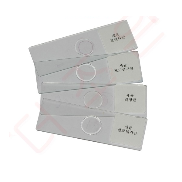 영구프레파라트 - 여러가지세균(4종1조)