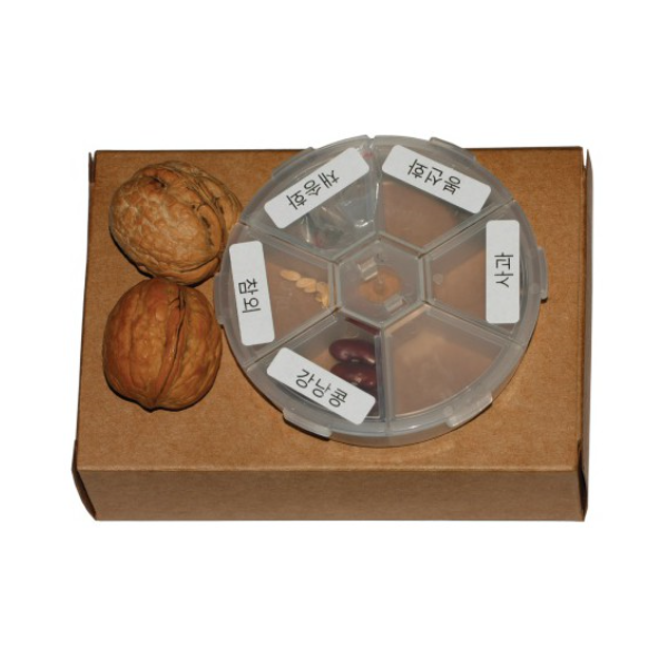 여러가지씨앗6종세트