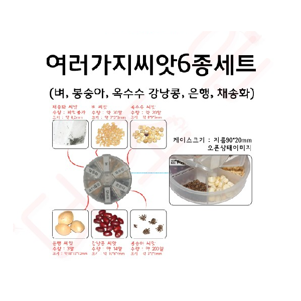 여러가지씨앗6종세트