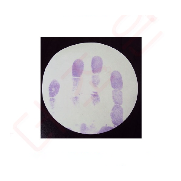 명탐정 지문찾기 - 10인용