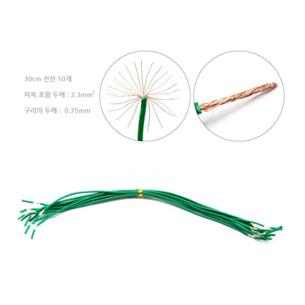 녹색전선 30cm