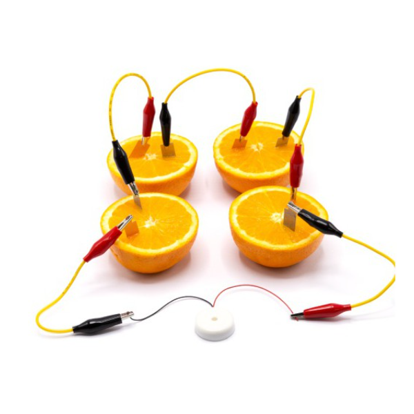 과일전지 - 멜로디버저