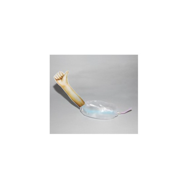 간이 팔근육 모형 만들기(5명1세트)