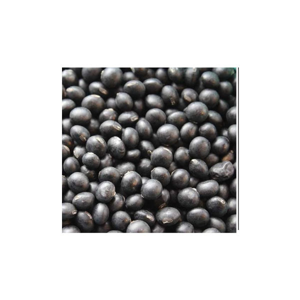 국산 검은콩 500g