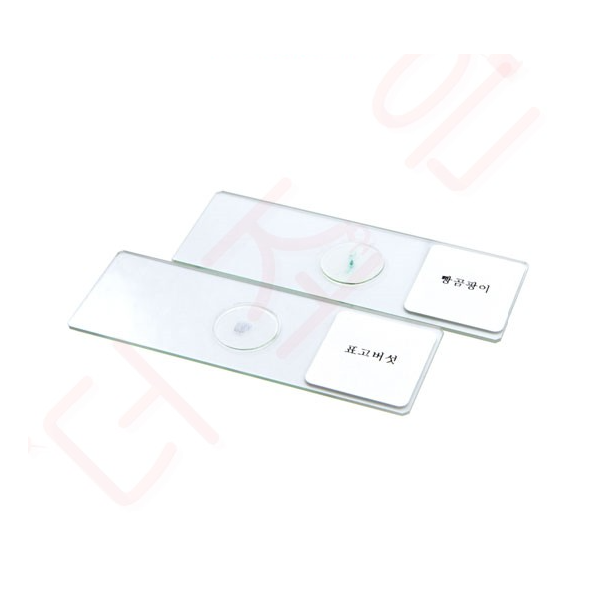 영구프레파라트 /표고버섯.빵곰팡이 (2종1조)