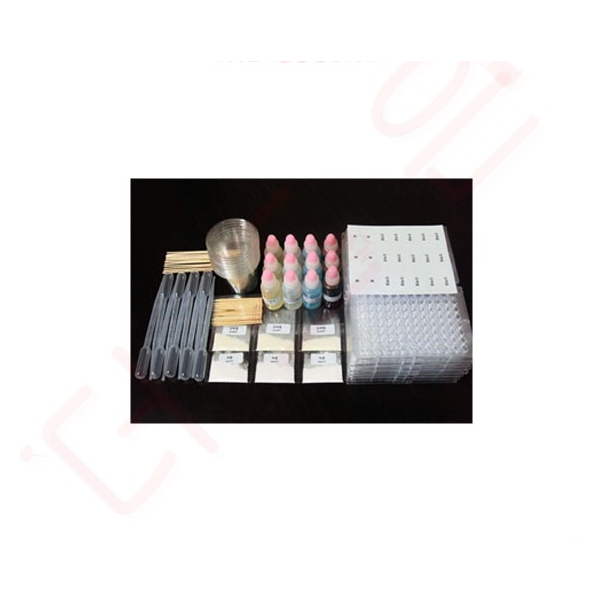 영양소반응 - 12인용