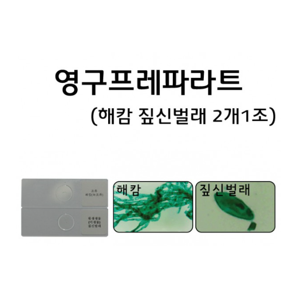 영구프레파라트/해캄 짚신 프레파라트 2개1조