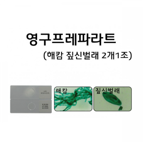 영구프레파라트/해캄 짚신 프레파라트 2개1조
