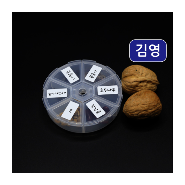 관찰용 여러가지 씨앗세트 [김영사용]