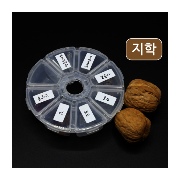 관찰용 여러가지 씨앗 세트 [지학사용]  포도씨 미 포함